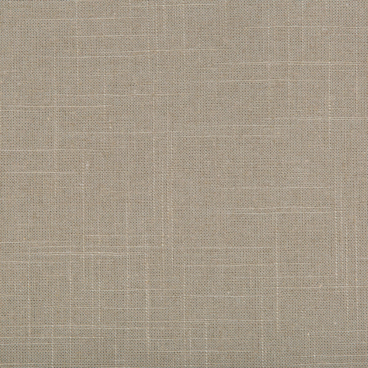 30808-1106 by Kravet Basics Fabric - LINEN - 55%;RAYON - 45% Switzerland HEAVY Horizontal: 0 and Vertical: 0 54 - Fabric Carolina -