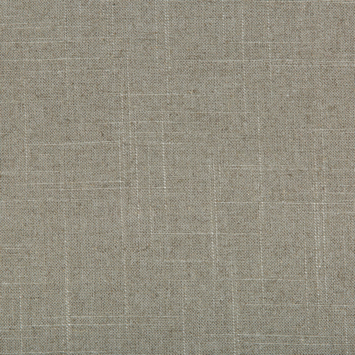 30808-1121 by Kravet Basics Fabric LINEN - 55%;RAYON - 45% Switzerland HEAVY Horizontal: 0 and Vertical: 0 54 - Fabric Carolina -