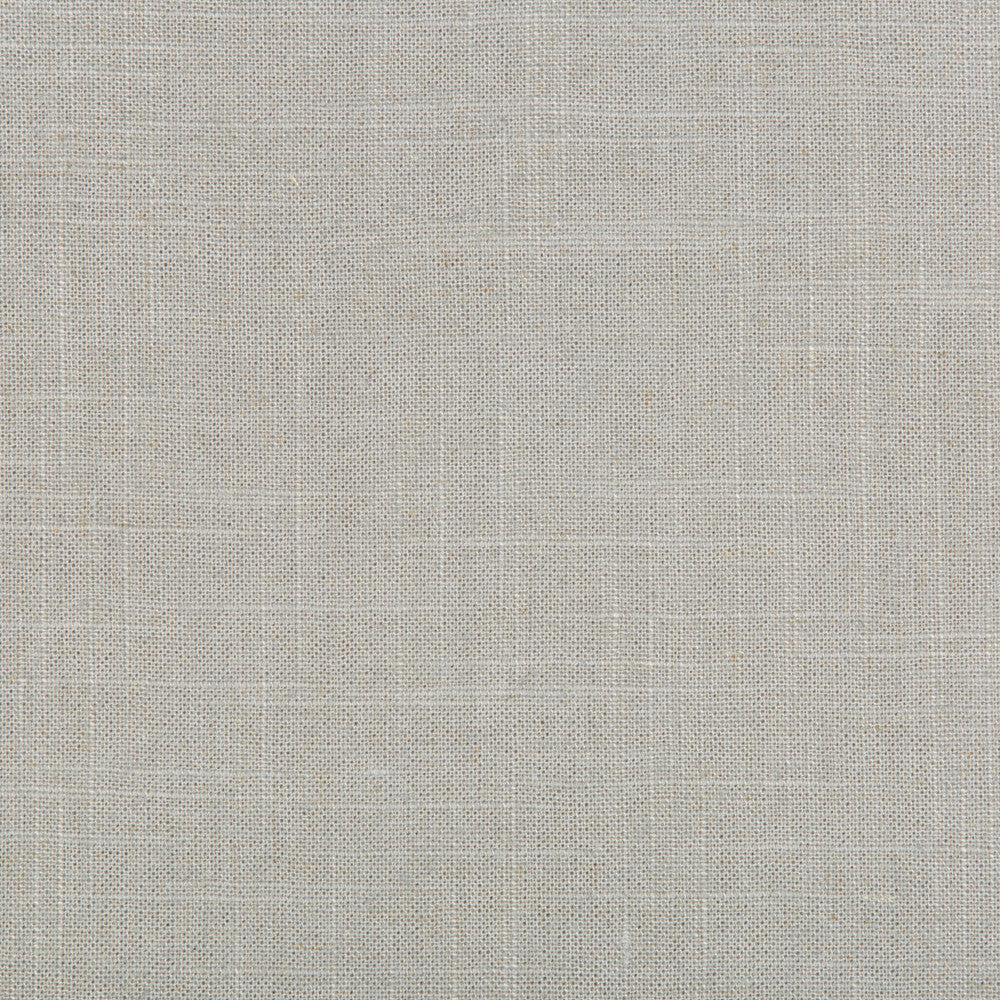 30808-11 by Kravet Basics Fabric LINEN - 55%;RAYON - 45% Switzerland HEAVY Horizontal: 0 and Vertical: 0 54 - Fabric Carolina -