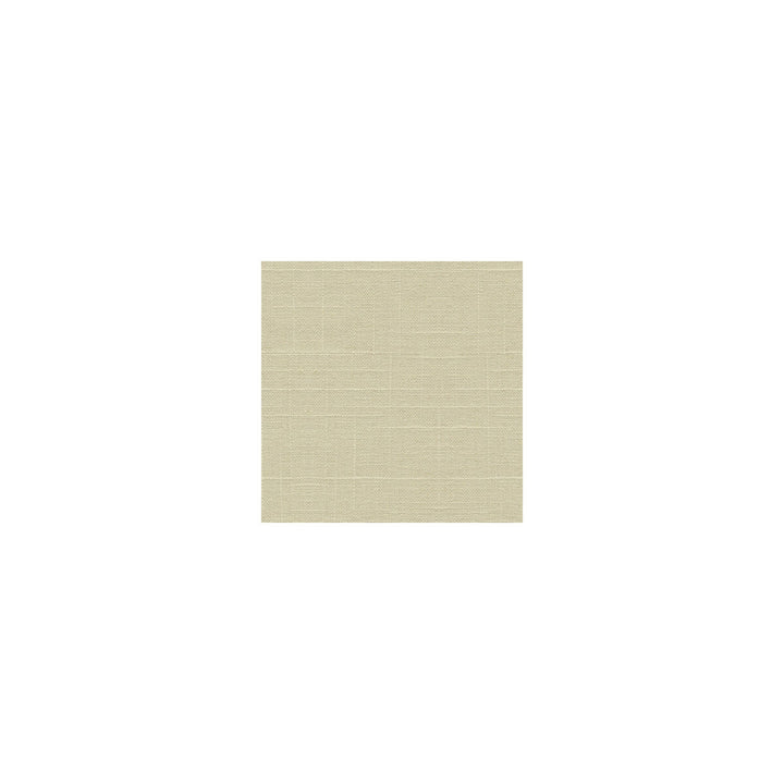 30808-1 by Kravet Basics Fabric LINEN - 55%;RAYON - 45% Switzerland HEAVY Horizontal: 0 and Vertical: 0 54 - Fabric Carolina -