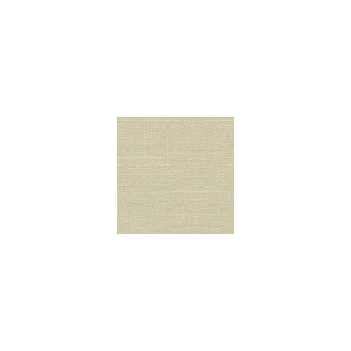 30808-1 by Kravet Basics Designer Fabric - LINEN - 55%;RAYON - 45% Switzerland HEAVY Horizontal: 0 and Vertical: 0 54 - Swanky Fabrics -