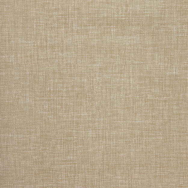 3080 14W7771 by JF Wallpaper SYNTHESIS WALLCOVERINGS 100% Wallpaper UNITED KINGDOM (see sample) Horizontal: N/A and Vertical: N/A 20.50 - Fabric Carolina -