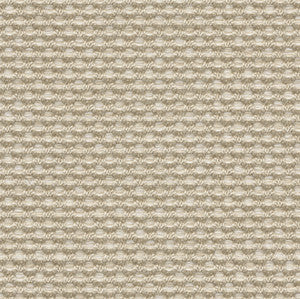 Weaver Flax by Kravet Couture Fabric