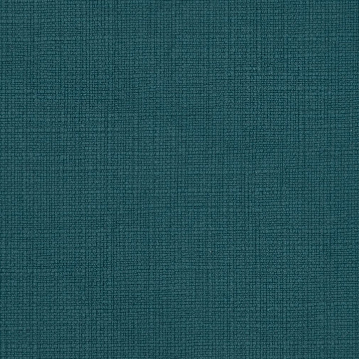31000-01 by Charlotte Designer Fabric Natural Textures 55% Linen, 45% Cotton Asia Exceeds 60,000 Wyzenbeek Rubs (Heavy Duty) No Repeat 54 Inches - Swanky Fabrics -