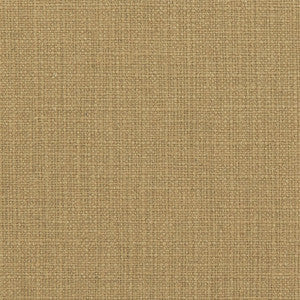 31000-05 by Charlotte Fabric