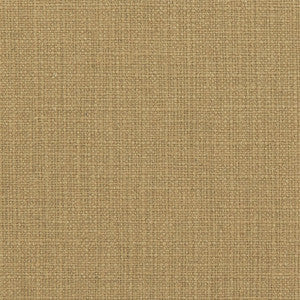 31000-05 by Charlotte Fabric