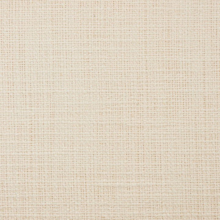 31000-11 by Charlotte Designer Fabric Natural Textures 55% Linen, 45% Cotton Asia Exceeds 60,000 Wyzenbeek Rubs (Heavy Duty) No Repeat 54 Inches - Swanky Fabrics -