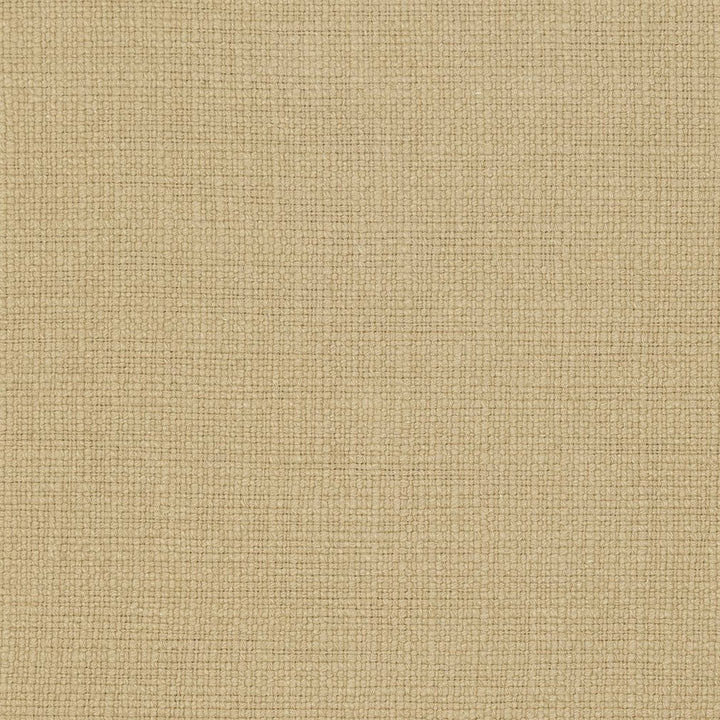 31000-20 by Charlotte Designer Fabric Natural Textures 55% Linen, 45% Cotton Asia Exceeds 60,000 Wyzenbeek Rubs (Heavy Duty) No Repeat 54 Inches - Swanky Fabrics -