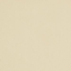 3100 Oyster by Charlotte Fabric