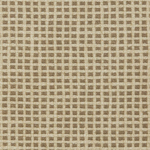31020-02 by Charlotte Fabric