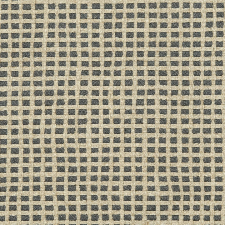 31020-06 by Charlotte Fabric Natural Textures 55% Linen, 45% Cotton Asia Exceeds 60,000 Wyzenbeek Rubs (Heavy Duty) </p><p>Repeat: Horizontal: .5" x Vertical: .5" 54 Inches - Fabric Carolina -
