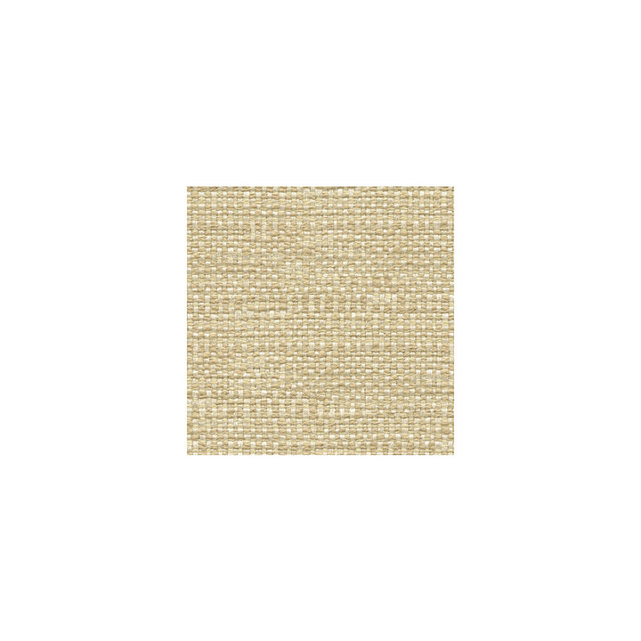 31027-16 by Kravet Design Fabric KRAVET COLORS RAYON - 53%;COTTON - 46%;NYLON - 1% United States MEDIUM Horizontal: - and Vertical: - 56 - Fabric Carolina -