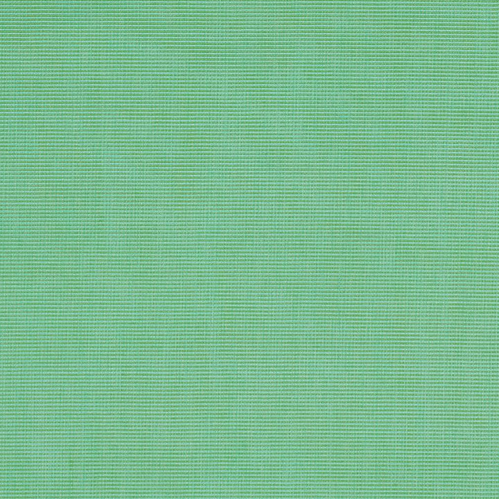 3106 Spring by Charlotte Fabric All Seasons & Decorative Duck 100% Solution Dyed Woven Acrylic Italy Exceeds 140,000 Wyzenbeek Rubs (Heavy Duty) No Repeat 54 Inches - Fabric Carolina -