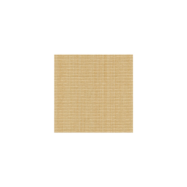 31110-16 by Kravet Smart Fabric COTTON - 51%;POLYESTER - 30%;RAYON - 19% China HEAVY Horizontal: and Vertical: 62 - Fabric Carolina -