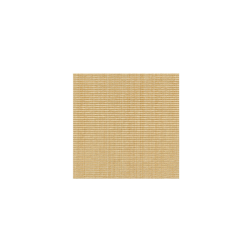 31110-16 by Kravet Smart Fabric COTTON - 51%;POLYESTER - 30%;RAYON - 19% China HEAVY Horizontal: and Vertical: 62 - Fabric Carolina -
