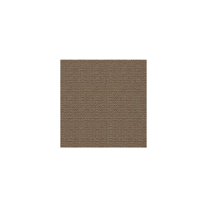 31124-6 by Kravet Contract Fabric POLYESTER - 100% Taiwan LIGHT Horizontal: and Vertical: 54 - Fabric Carolina -