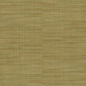 Kravet Smart 31132-3 by Kravet Smart Fabric