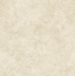 Astor Platinum Texture Wallpaper by Chesapeake