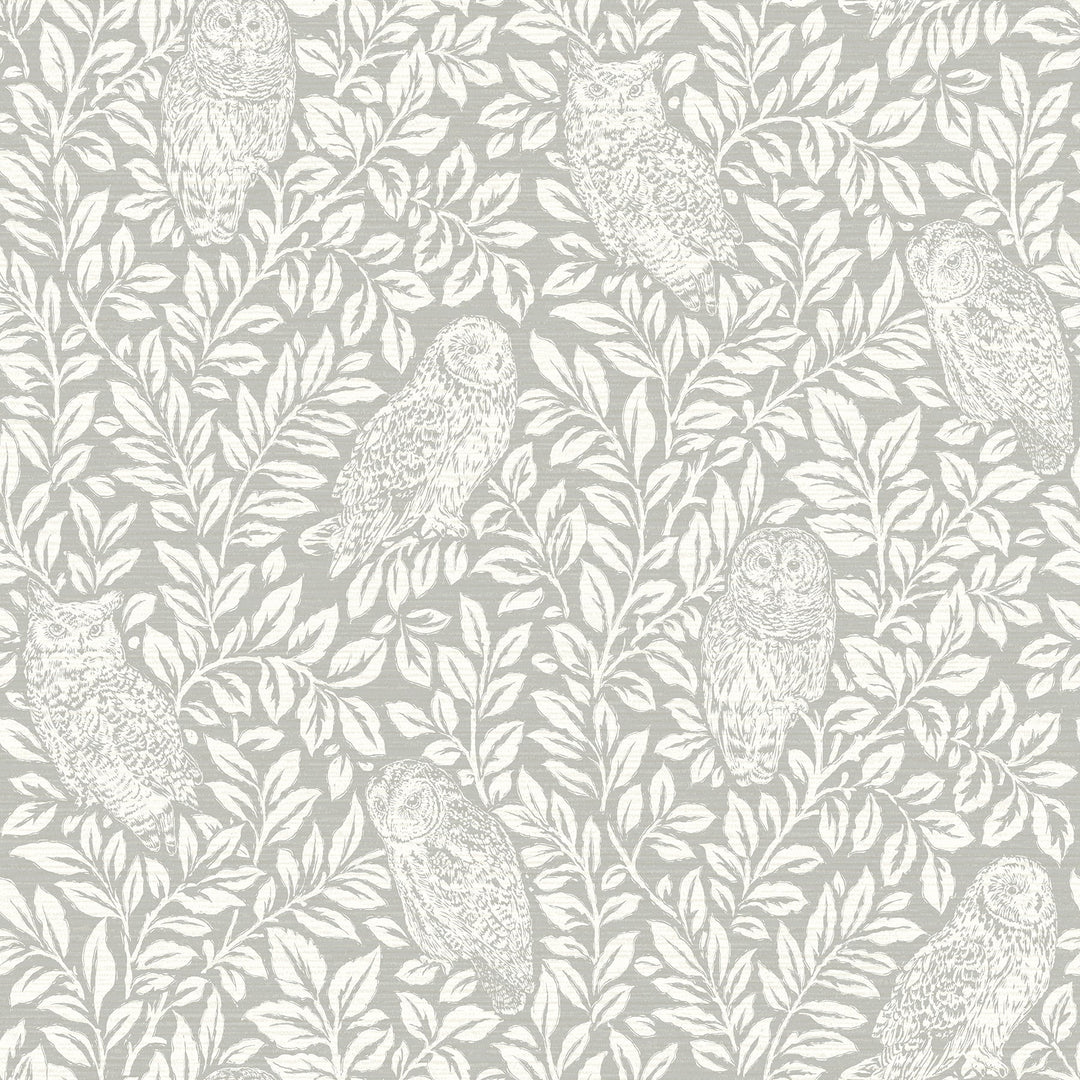 Parliament Light Grey Owl Wallpaper by Chesapeake Designer