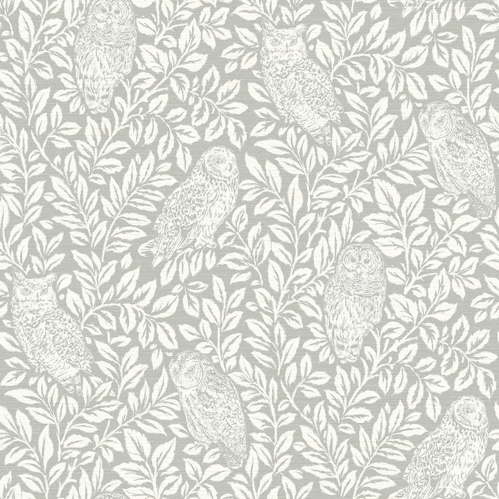 Parliament Light Grey Owl Wallpaper by Chesapeake Farmhouse Covers about 56.4 square feet 20.5-in by 33-ft long roll Prepasted 20.9 - Fabric Carolina -