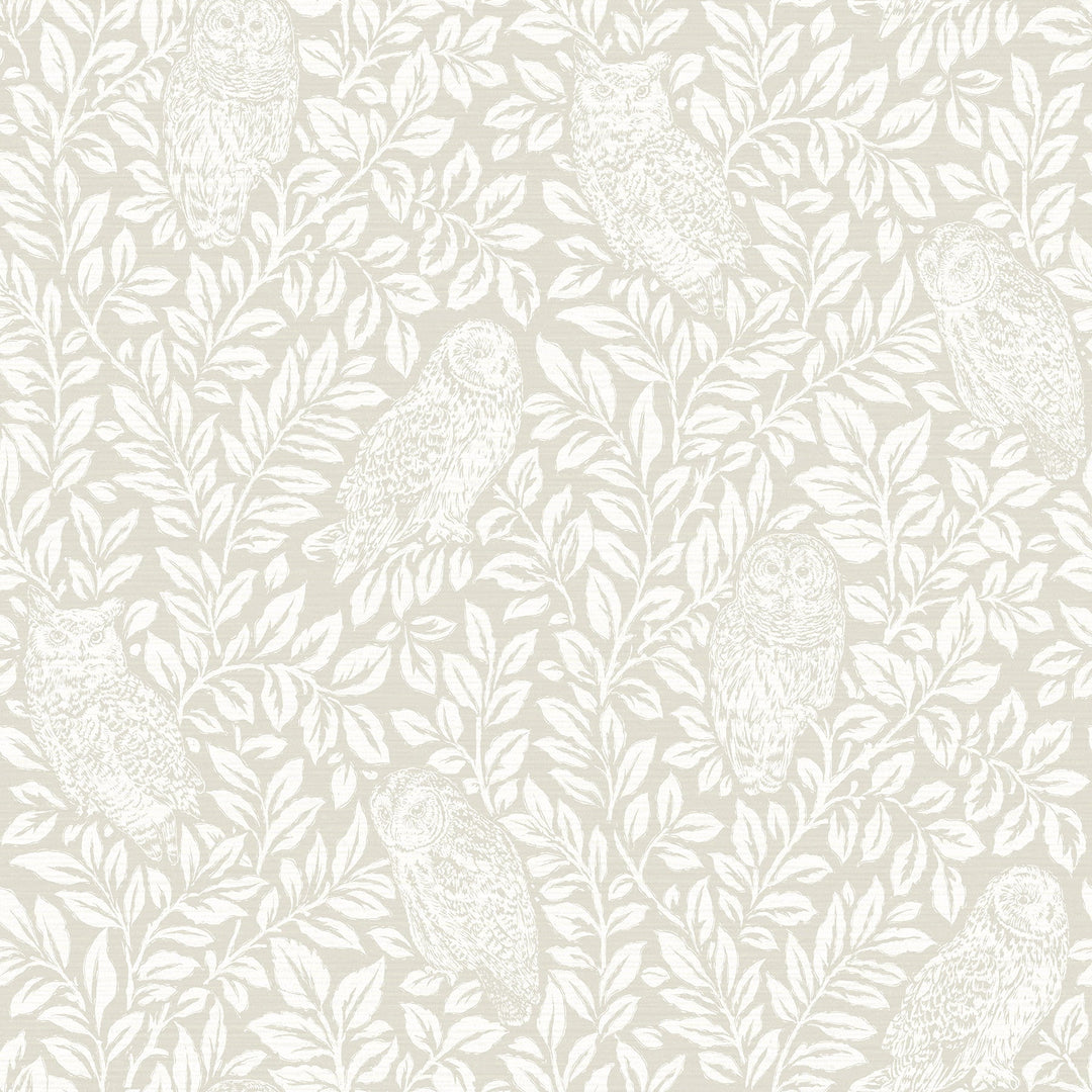 Parliament Cream Owl Wallpaper by Chesapeake Designer