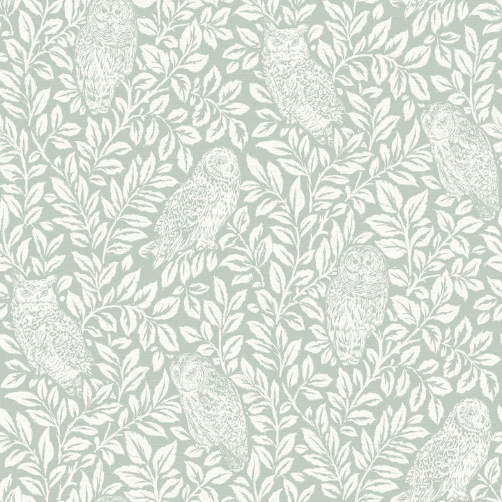 Parliament Teal Owl Wallpaper by Chesapeake Farmhouse Covers about 56.4 square feet 20.5-in by 33-ft long roll Prepasted 20.9 - Fabric Carolina -