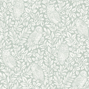 Parliament Teal Owl Wallpaper by Chesapeake