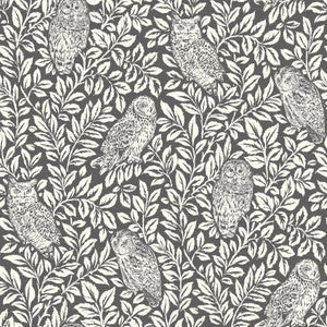 Parliament Brown Owl Wallpaper by Chesapeake