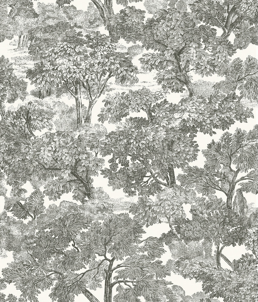 Spinney Black Toile Wallpaper by Chesapeake Farmhouse Covers about 56.4 square feet 20.5-in by 33-ft long roll Prepasted 24 - Fabric Carolina -