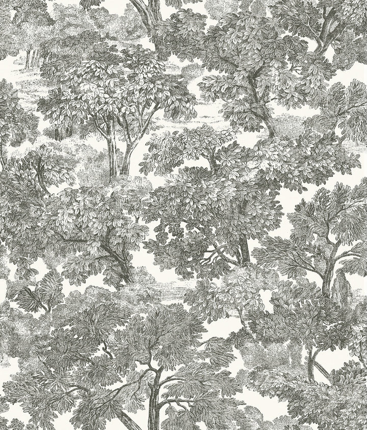 Spinney Black Toile Wallpaper by Chesapeake Farmhouse Covers about 56.4 square feet 20.5-in by 33-ft long roll Prepasted 24 - Fabric Carolina -