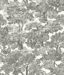 Spinney Black Toile Wallpaper by Chesapeake