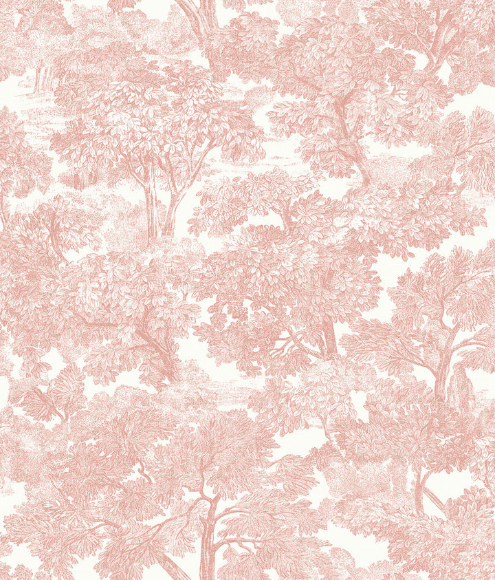 Spinney Rose Rose Toile Wallpaper by Chesapeake Farmhouse Covers about 56.4 square feet 20.5-in by 33-ft long roll Prepasted 24 - Fabric Carolina -