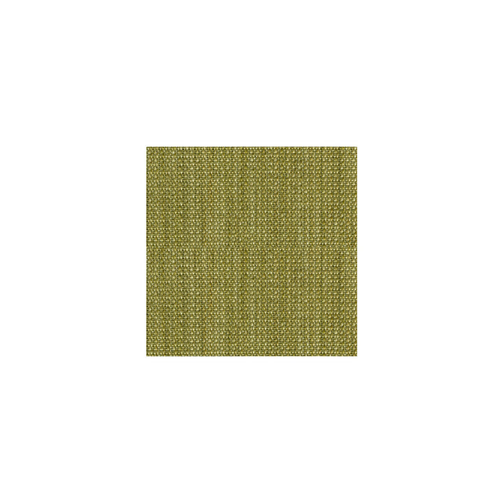 31151-3 by Kravet Smart Fabric POLYESTER - 60%;COTTON - 40% United States HEAVY Horizontal: and Vertical: 54 - Fabric Carolina -