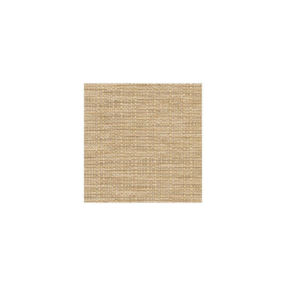 31154-16 by Kravet Smart Fabric POLYESTER - 80%;ACRYLIC - 14%;COTTON - 6% United States HEAVY Horizontal: 13 and Vertical: 54 - Fabric Carolina -