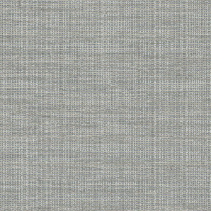 Kent Grey Grasscloth Wallpaper by Chesapeake Birch & Sparrow Covers about 56.4 square feet 20.5-in by 33-ft long roll Prepasted 20.5 - Fabric Carolina -