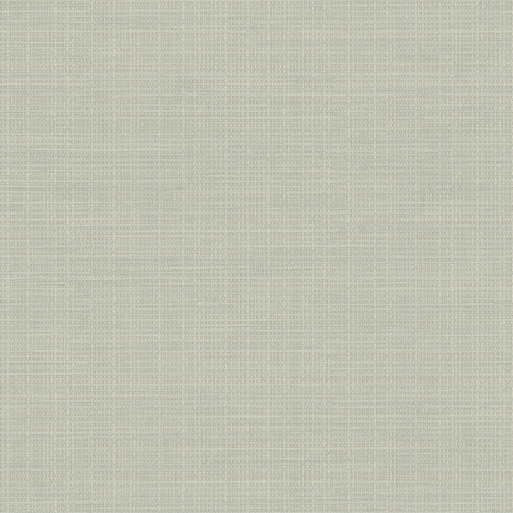 Kent Beige Grasscloth Wallpaper by Chesapeake Birch & Sparrow Covers about 56.4 square feet 20.5-in by 33-ft long roll Prepasted 20.5 - Fabric Carolina -