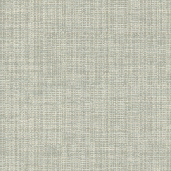 Kent Beige Grasscloth Wallpaper by Chesapeake Birch & Sparrow Covers about 56.4 square feet 20.5-in by 33-ft long roll Prepasted 20.5 - Fabric Carolina -