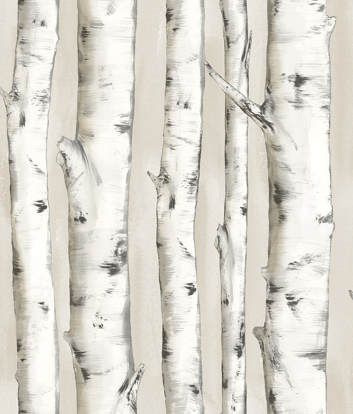 Pioneer Off White Birch Tree Wallpaper by Chesapeake Birch & Sparrow Covers about 56.4 square feet 20.5-in by 33-ft long roll Prepasted 24 - Fabric Carolina -