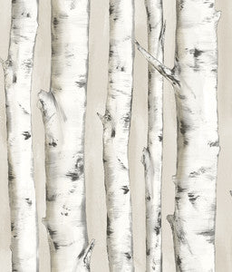 Pioneer Off White Birch Tree Wallpaper by Chesapeake