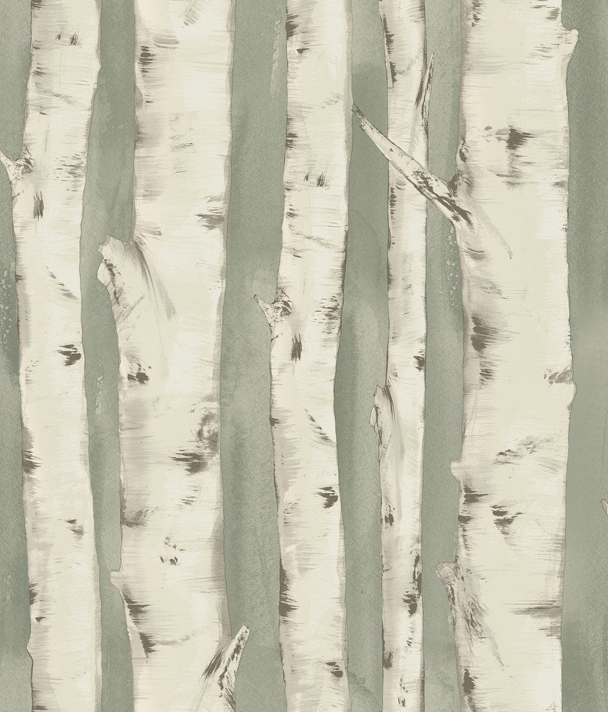 Pioneer Sage Birch Tree Wallpaper by Chesapeake Birch & Sparrow Covers about 56.4 square feet 20.5-in by 33-ft long roll Prepasted 24 - Fabric Carolina -