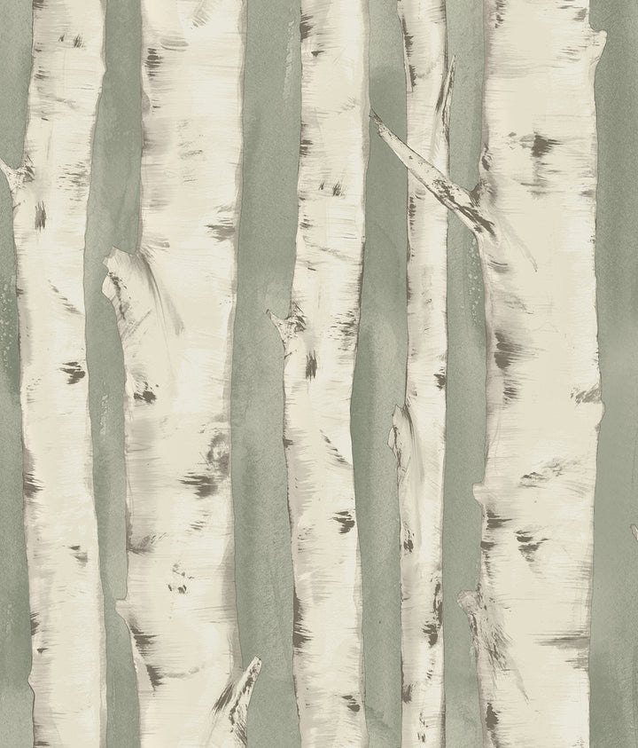Pioneer Sage Birch Tree Wallpaper by Chesapeake Birch & Sparrow Covers about 56.4 square feet 20.5-in by 33-ft long roll Prepasted 24 - Fabric Carolina -