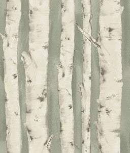 Pioneer Sage Birch Tree Wallpaper by Chesapeake