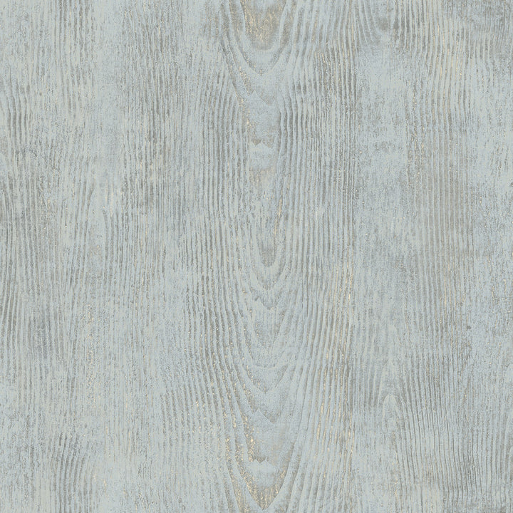 Drifter Light Blue Wood Wallpaper by Chesapeake Birch & Sparrow Covers about 56.4 square feet 20.5-in by 33-ft long roll Prepasted 20.5 - Fabric Carolina -