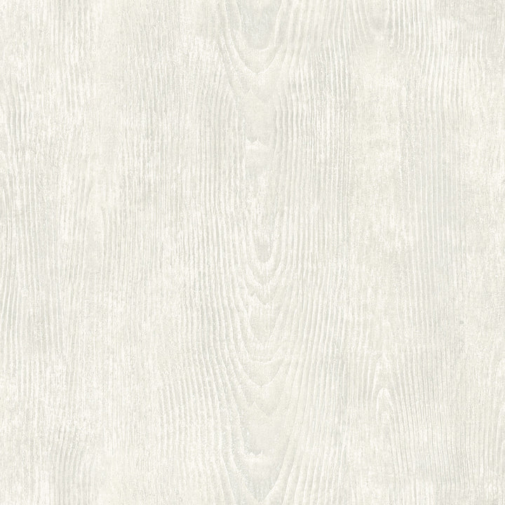 Drifter Light Grey Wood Wallpaper by Chesapeake Birch & Sparrow Covers about 56.4 square feet United States Prepasted 20.5-in repeat, drop match 20.5-in by 33-ft long roll - Fabric Carolina -