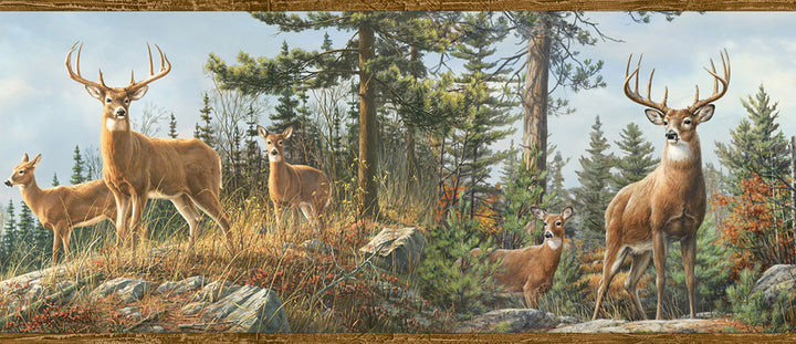 Whitetail Crest Multicolor Forest Wallpaper by Chesapeake Birch & Sparrow Covers about 10 square feet 8-in by 15-ft long roll Prepasted 0 - Fabric Carolina -