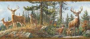 Whitetail Crest Multicolor Forest Wallpaper by Chesapeake