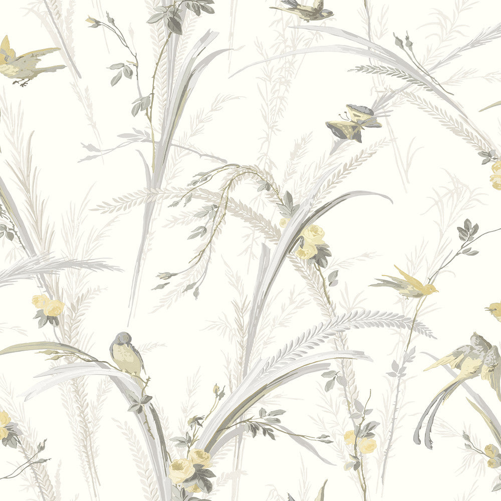 Meadowlark Yellow Botanical Wallpaper by Chesapeake Kindred Covers about 56.4 square feet 20.5-in by 33-ft long roll Prepasted 20.5 - Fabric Carolina -