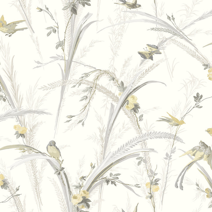 Meadowlark Yellow Botanical Wallpaper by Chesapeake Kindred Covers about 56.4 square feet 20.5-in by 33-ft long roll Prepasted 20.5 - Fabric Carolina -