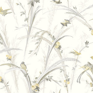 Meadowlark Yellow Botanical Wallpaper by Chesapeake