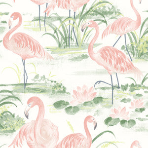 Everglades Coral Flamingos Wallpaper by Chesapeake